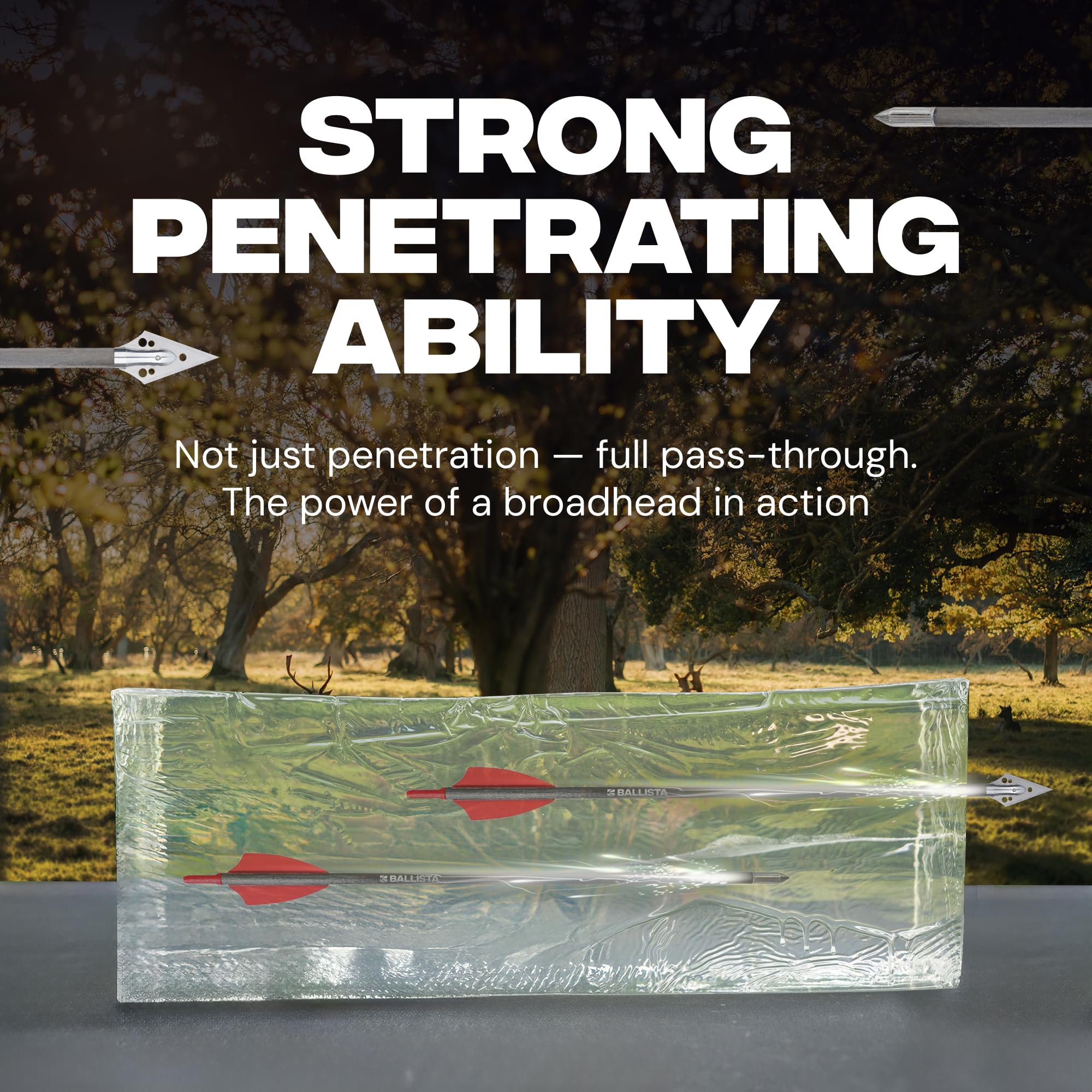 Ballista bolts fletching image demonstrates stable flight stabilization.