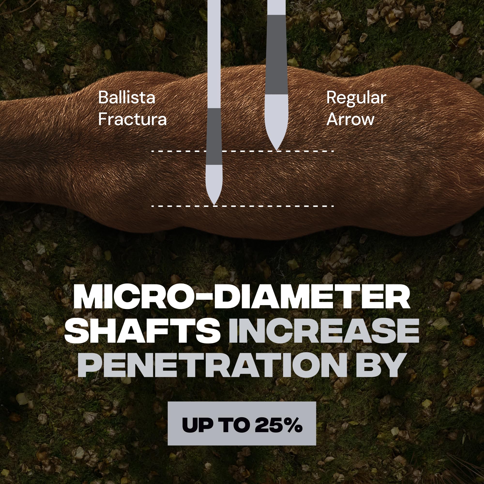 Ballista Fractura tips not glued arrow for quick tip replacements