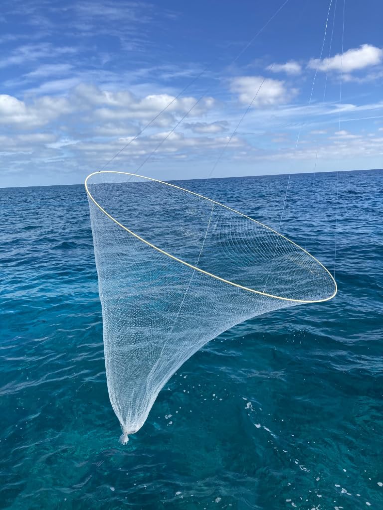 Ballyhoo Bait Net collapsed to 2 ft diameter for easy storage