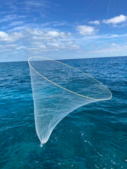 Ballyhoo Bait Net collapsed to 2 ft diameter for easy storage