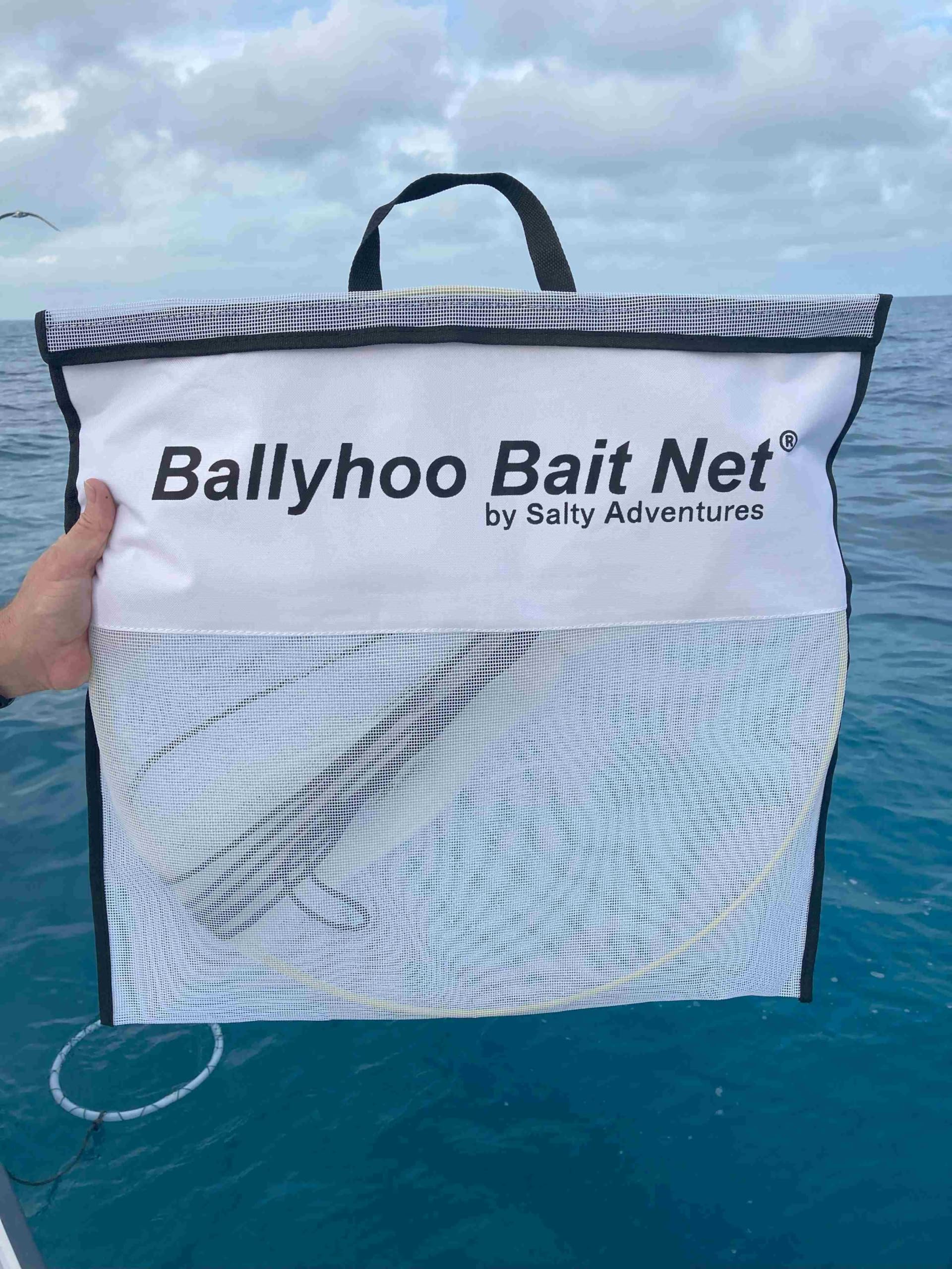 Healthy live Ballyhoo bait inside the net