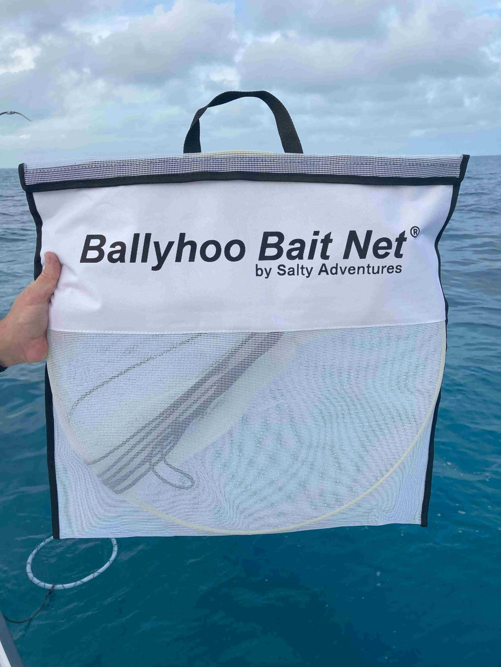 Healthy live Ballyhoo bait inside the net