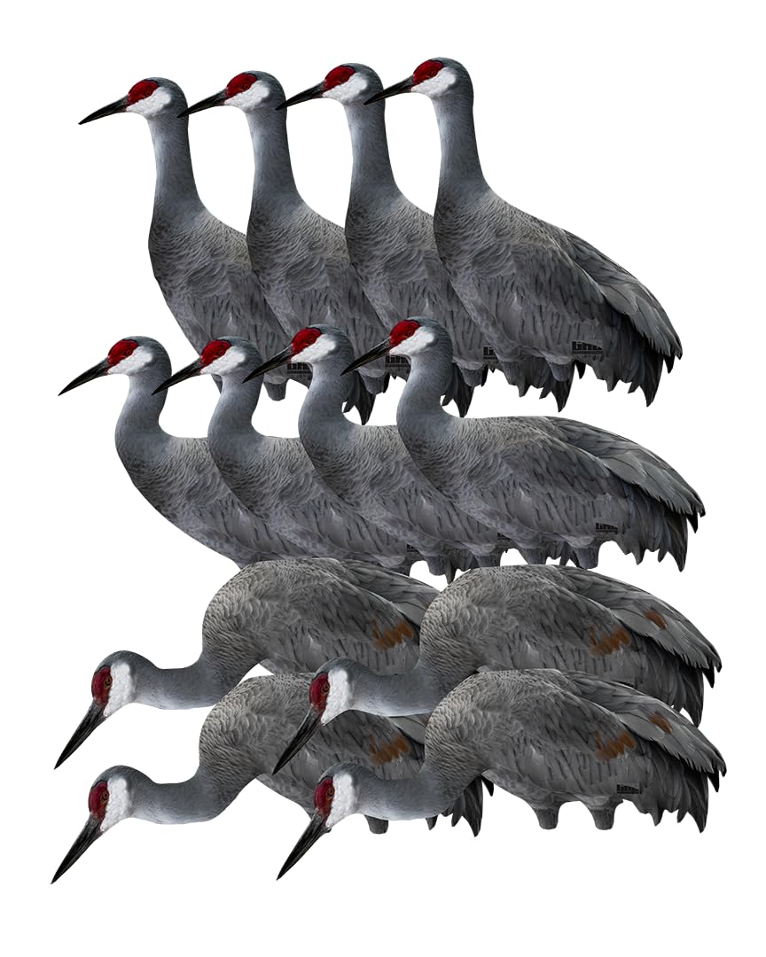 Banded GHG Pro-Grade Sandhill Crane silhouette decoy set with six poses for realistic flock display