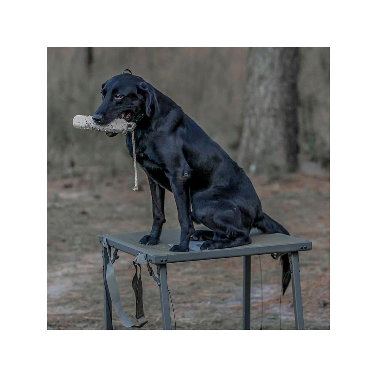 Banded Hybrid Slough Stand drainage platform helps water drain quickly after retrieves