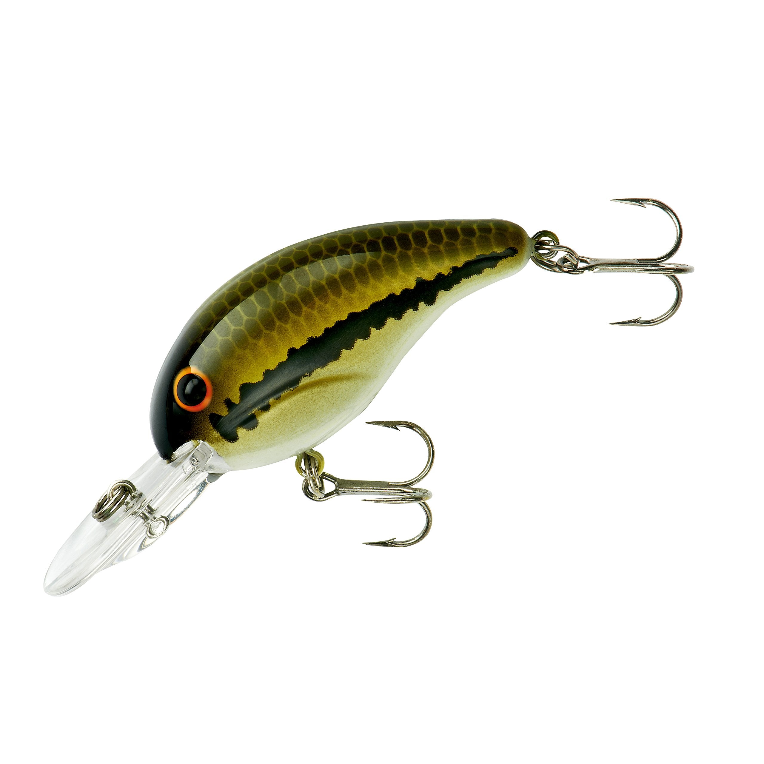 Bandit Lures 200 Series crankbait in baby bass color attracts bass.