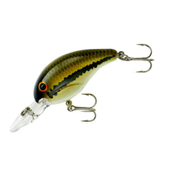Bandit Lures 200 Series crankbait in baby bass color attracts bass.