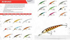 Bandit Lures BDTB-Shad36 eye-catching colors attract bites in clear or stained water.