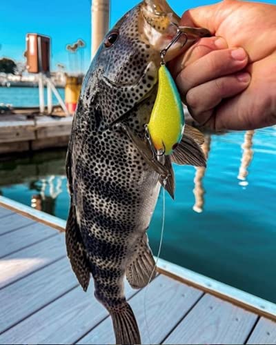 Bandit Lures Crank 300-Series deep-diving 12ft helps search weedlines for bass