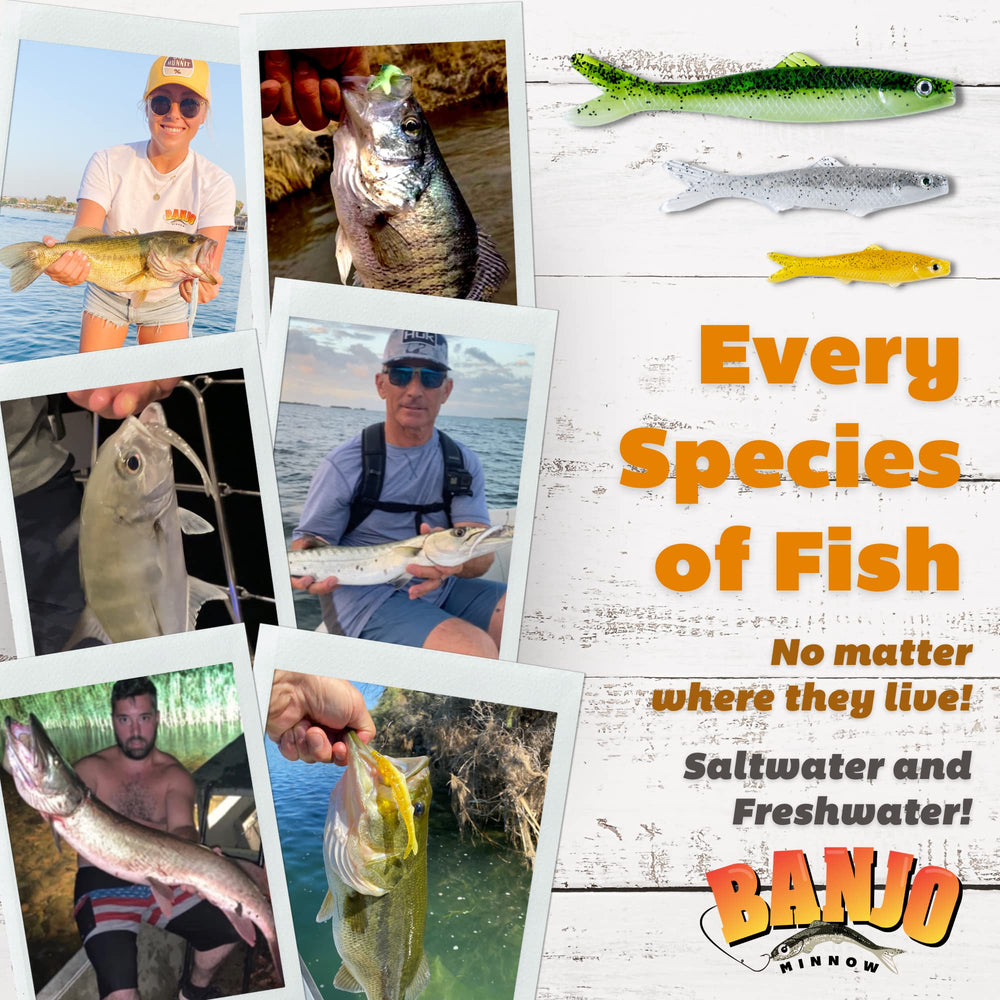 Four Banjo Minnows in foliage green, speckled black, electric yellow and silver shiner