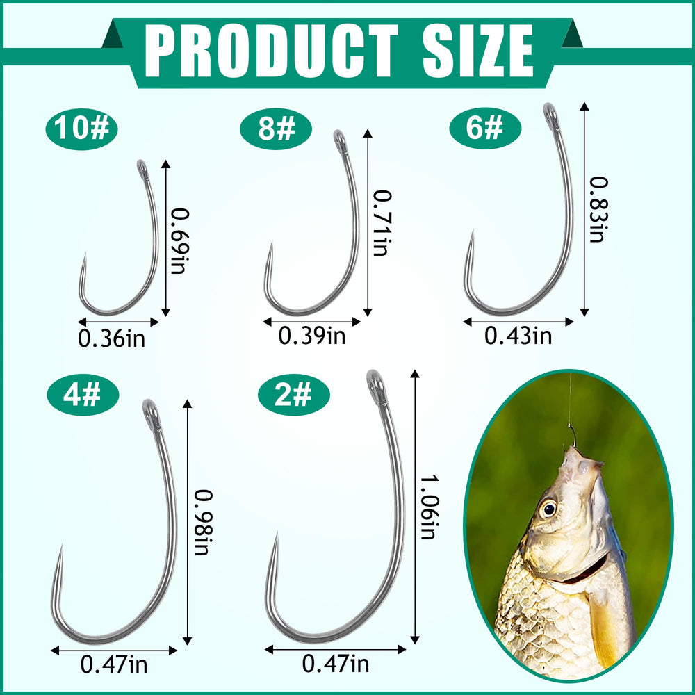 Carp fishing hook with curve shank design