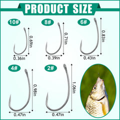 Carp fishing hook with curve shank design