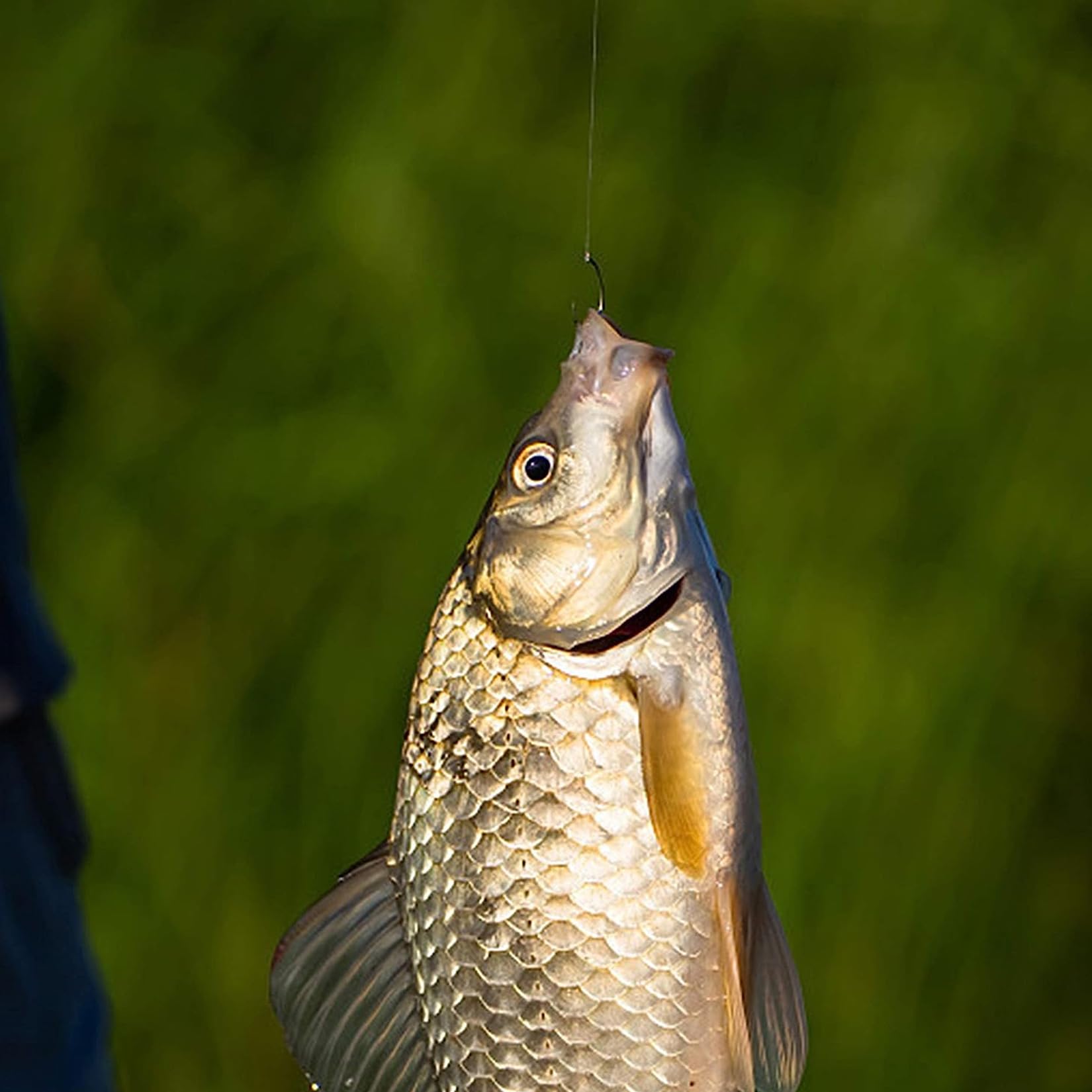Barbless fishing hooks size 10 (60pcs) complete set