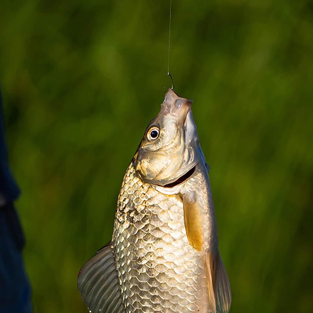 Barbless fishing hooks size 10 (60pcs) complete set