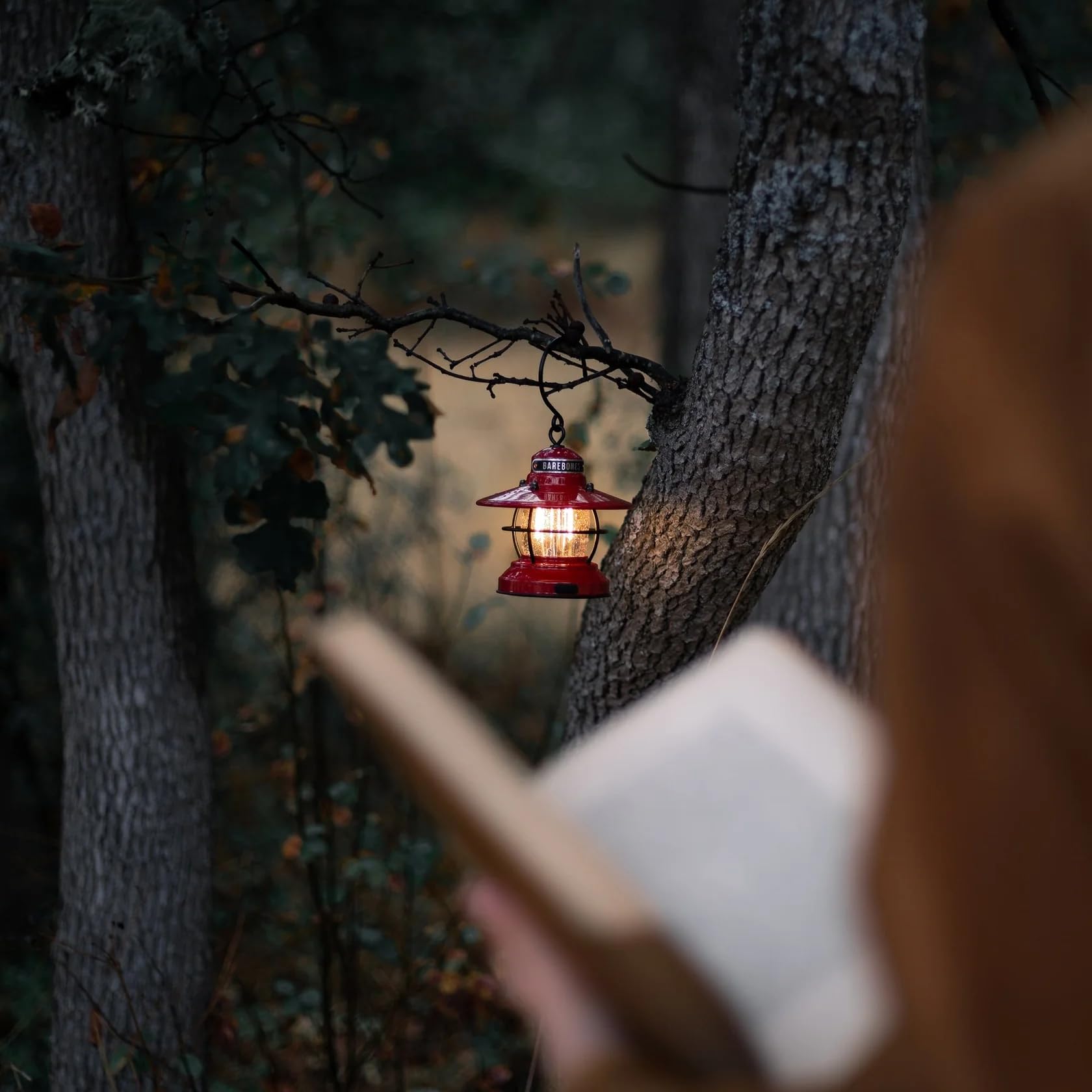 Barebones Edison mini lantern 3-pack red home-decor accent with warm glow.