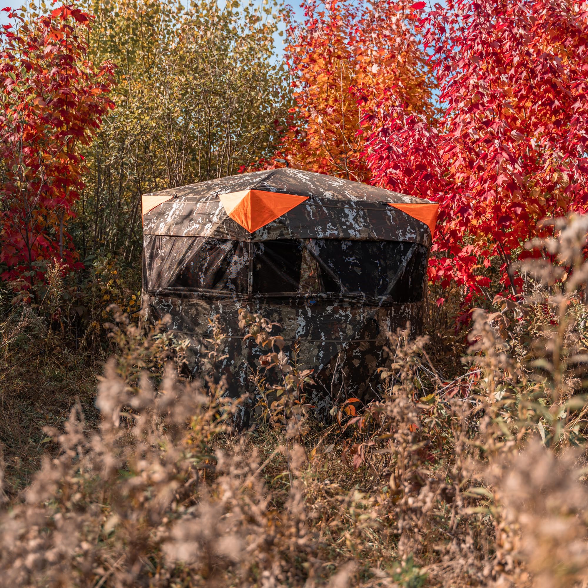 Carry bag with ground stakes and tie-down ropes for Ace 250