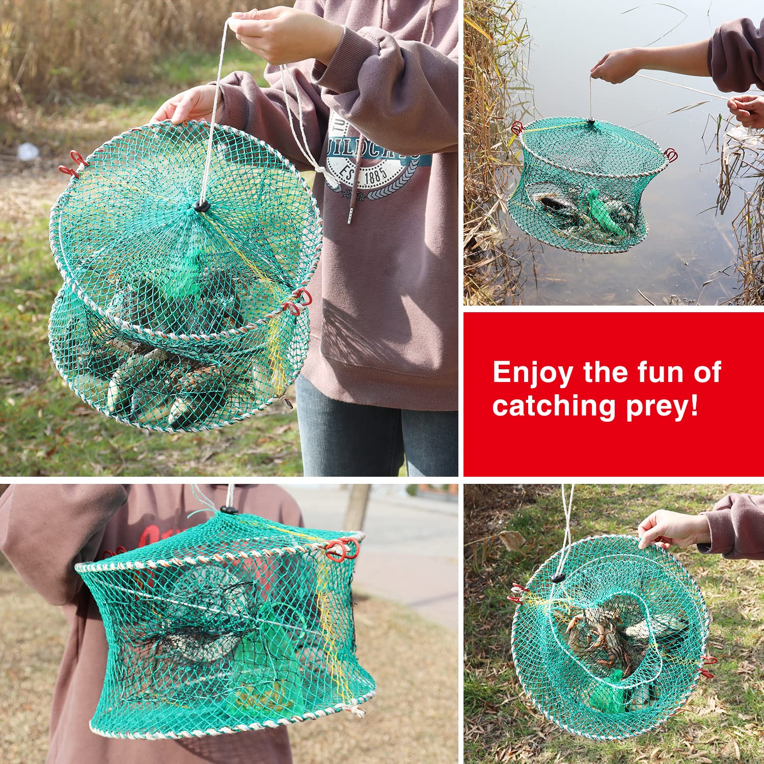 Portable folded crab trap frame and net