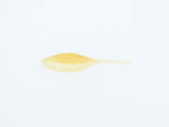 Bass Assassin Tiny Shad lure pack in chartreuse flash and Arkansas shiner; ideal for attracting bass.