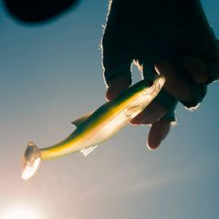 Bass Mafia Daingerous Swimbait 7-inch Blueback Herring - side view