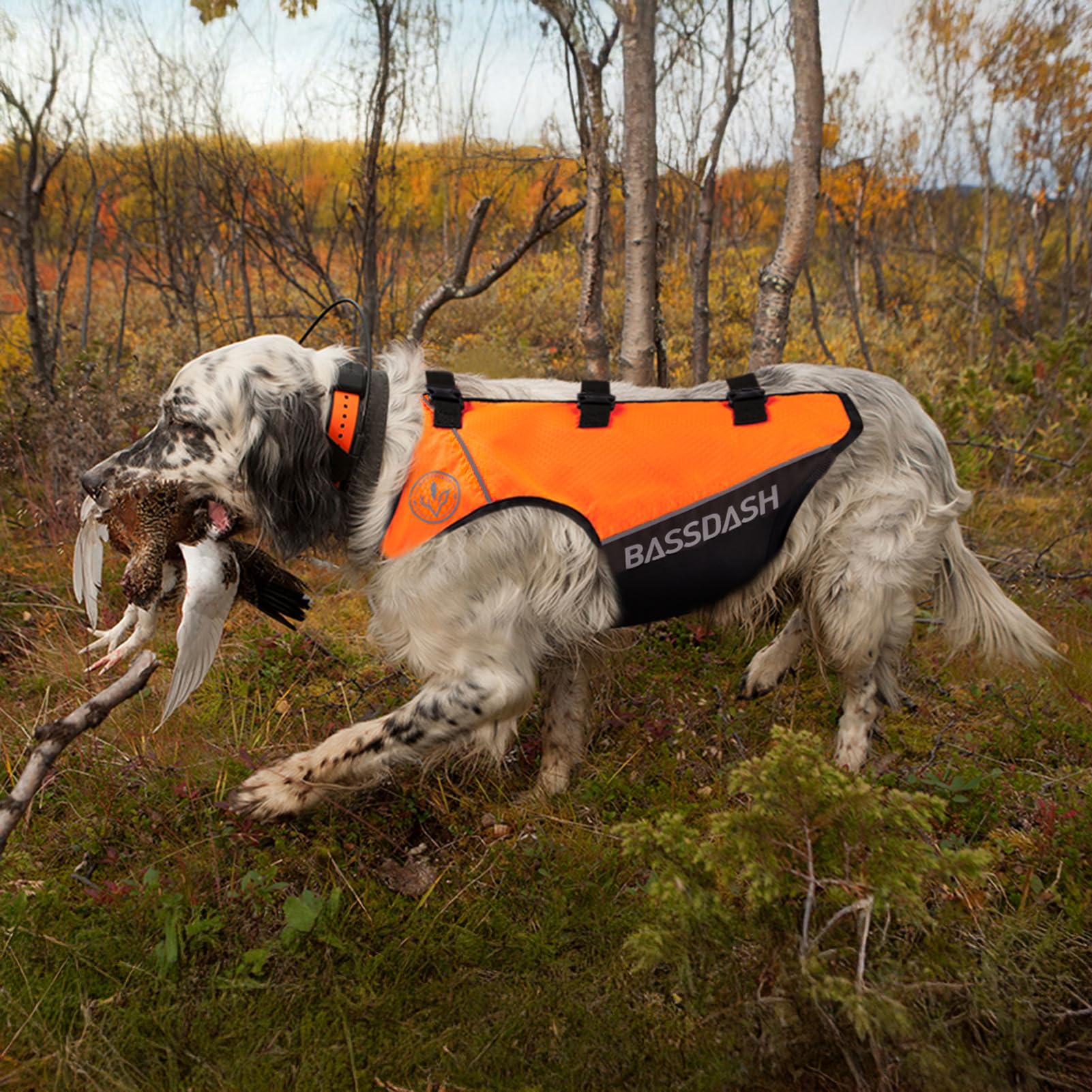 BASSDASH dog safety vest belly protection covering chest area against sticks and rocks