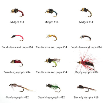 Assorted nymph fly patterns and sizes