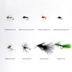 Streamers, Caddis larva and pupa, and Mayfly dry-flies in the kit