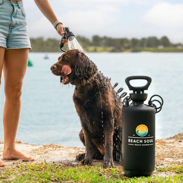 Beach Soul BPA-free materials with FDA-approved safety on the 2.6G model.