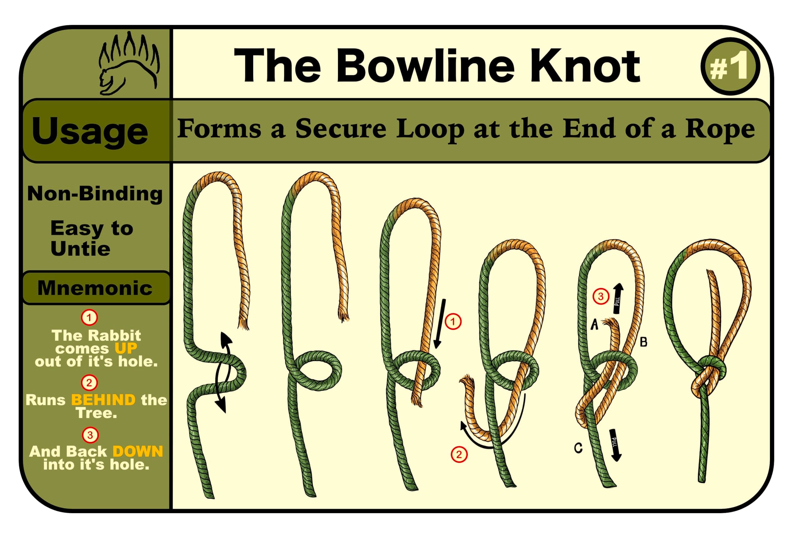 Bear Essentials knot-tie kit opened showing cards, ropes, burlap, and tin.