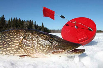 Beaver Dam BD10 RD round tip as part of tip-up fishing setup.