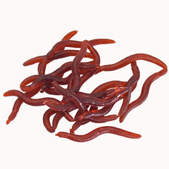 BeeSpring soft fishing lures worm close-up image 1