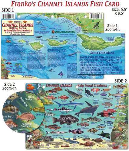 BEICHI Franko Maps Channel Islands Fish ID laminated card for underwater reference