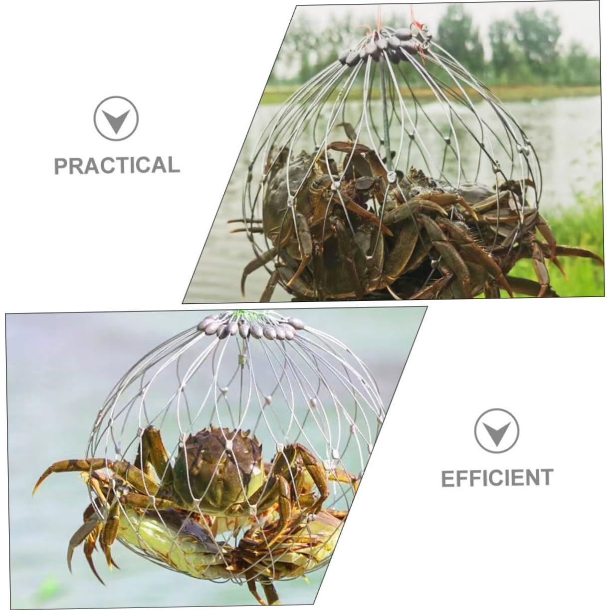 BELLIFFY reusable cage suitable for quick setup and storage