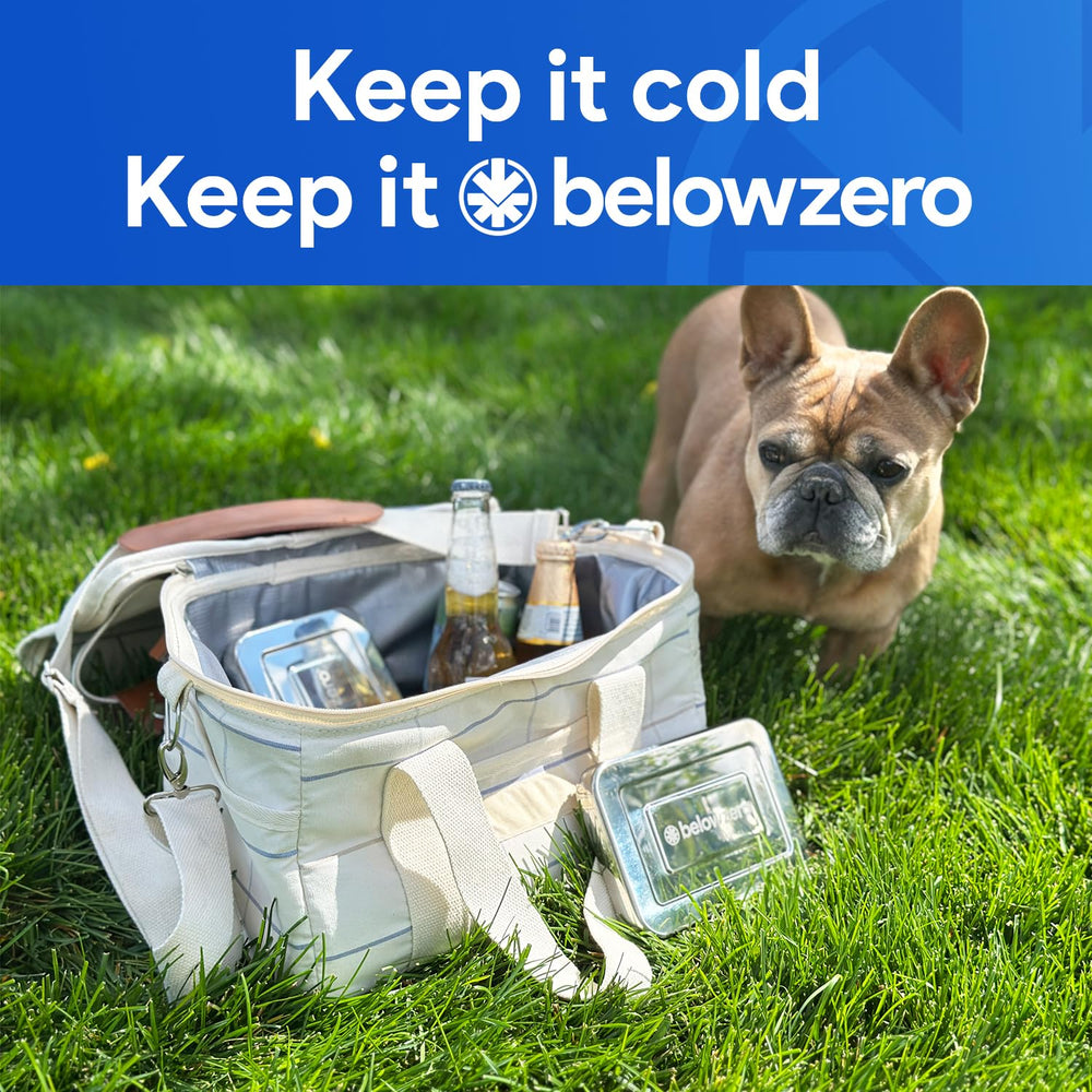 Below Zero Deluxe cooling pack with felt case highlights premium storage and transport.