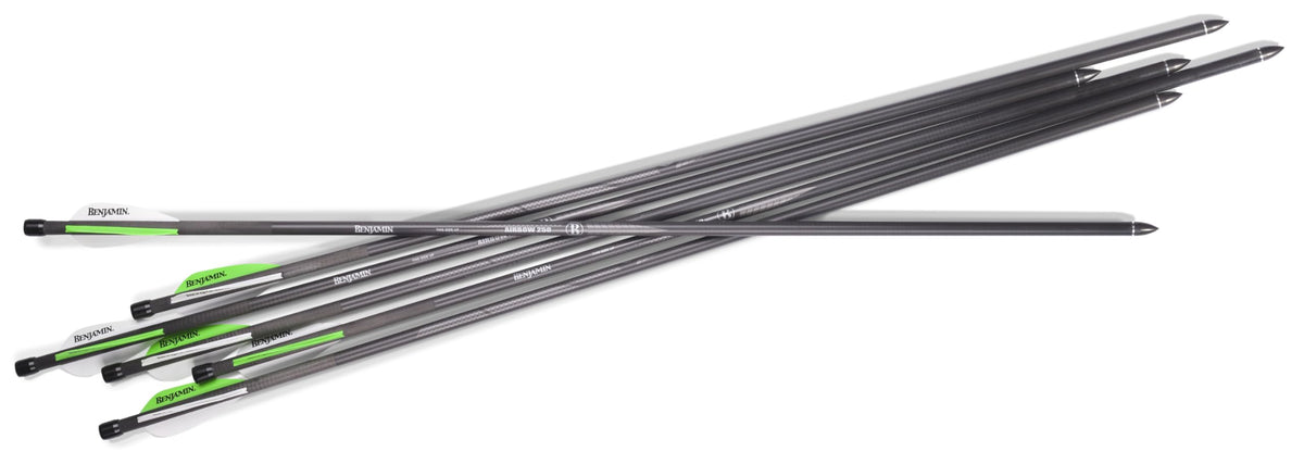 Benjamin AB6PKA Pioneer Airbow Arrow Pack main product image