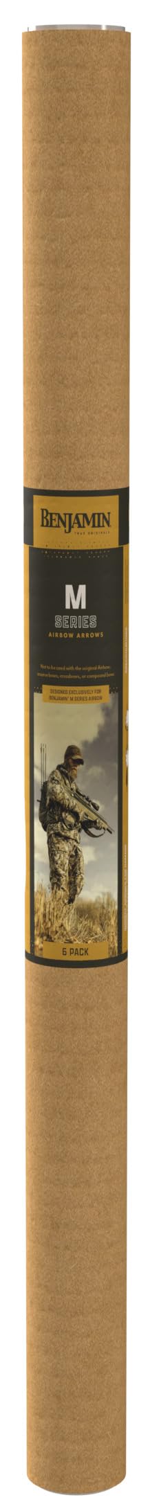 Benjamin BAMA-6PK 100-grain hunting point for clean, reliable impact.