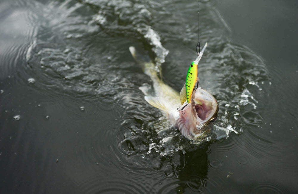 Detail of Fusion19 hook on Berkley Flicker Minnow, bite-ready design