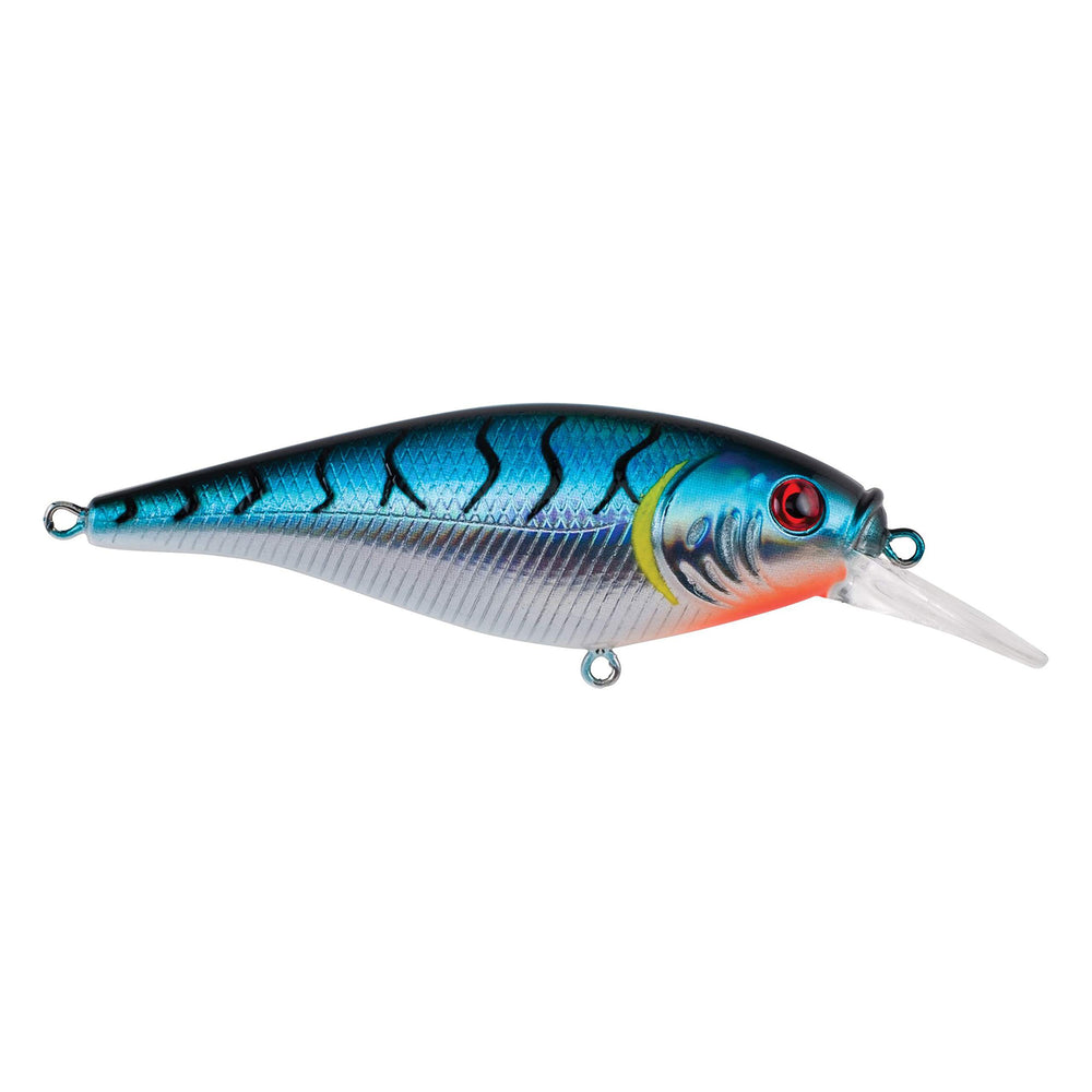 Berkley Flicker Shad Blue Tiger front view highlights realistic shad profile for shallow water casting.