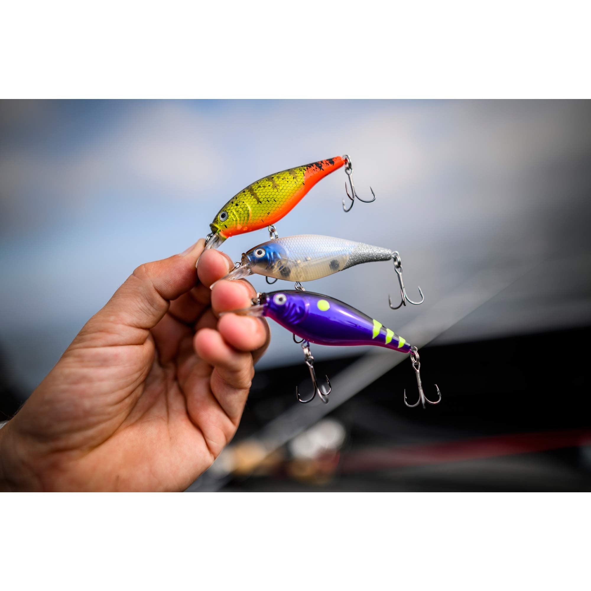 Rattle and roll action visible as the lure pauses and retrieves.