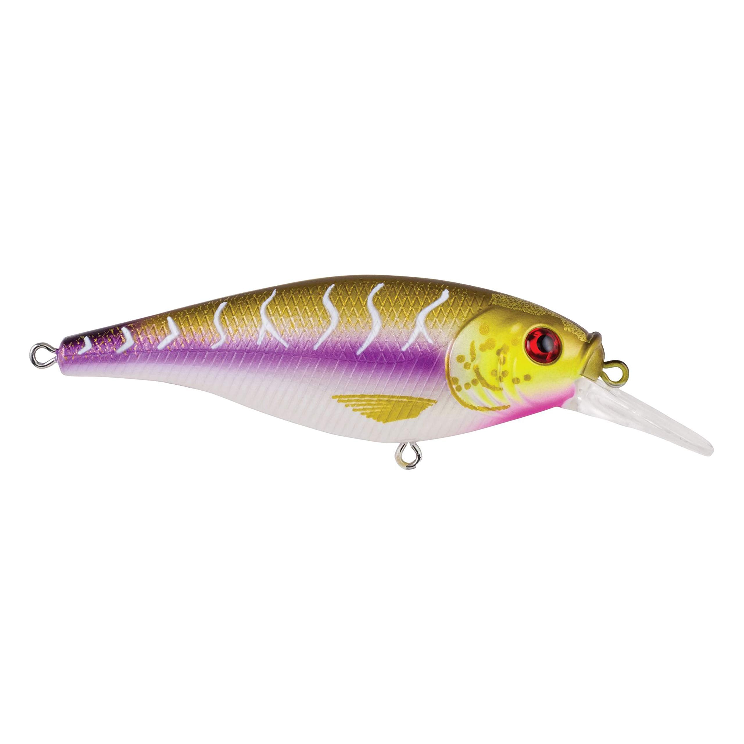 Berkley Flicker Shad Shallow Purple Tiger lure in action for shallow-water bass and walleye.
