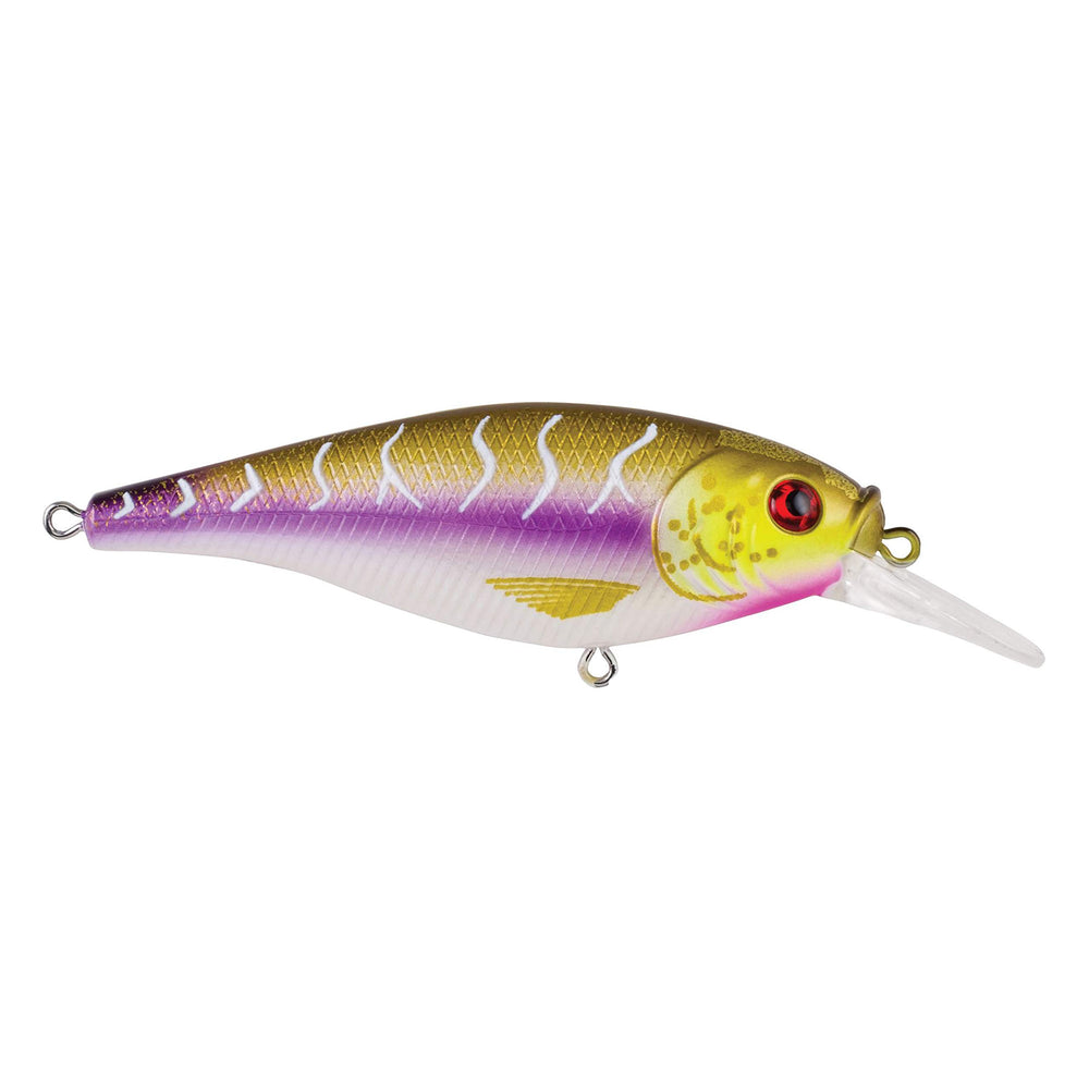 Berkley Flicker Shad Shallow Purple Tiger lure in action for shallow-water bass and walleye.