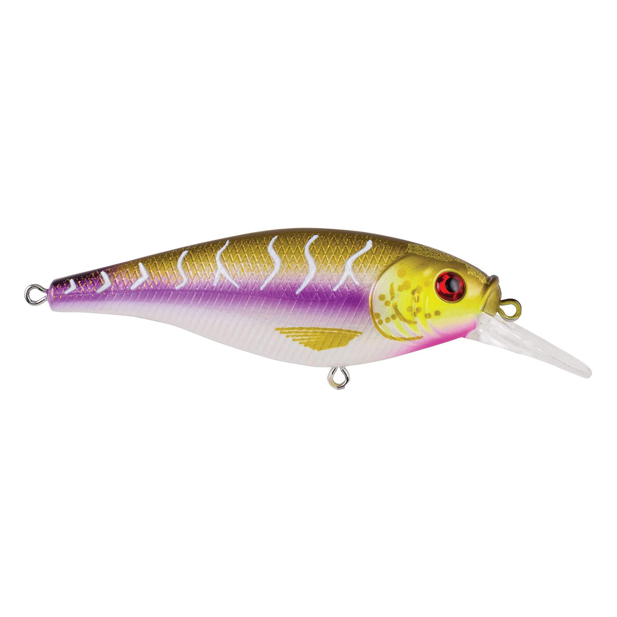 Berkley Flicker Shad Shallow Purple Tiger lure in action for shallow-water bass and walleye.