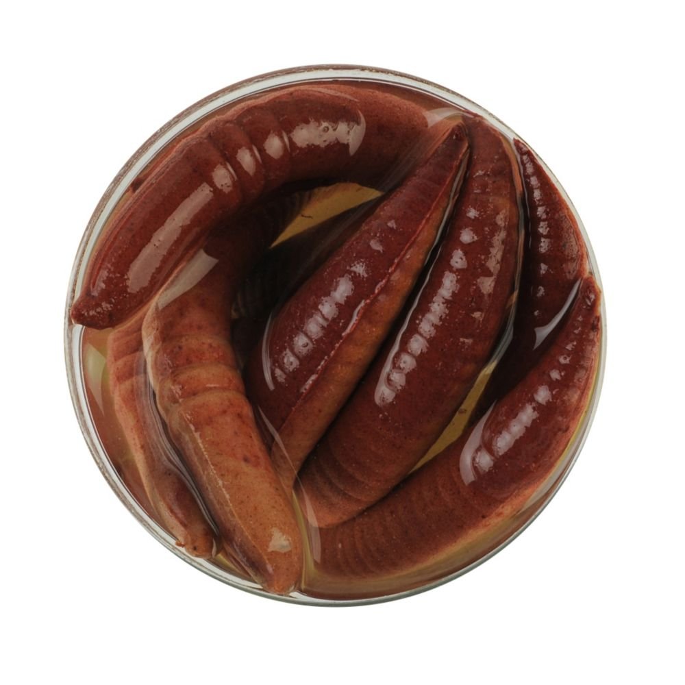 GAJGFPC2-NC Berkley Gulp Alive Floating Pinched Crawler Nightcrawler 2in close-up