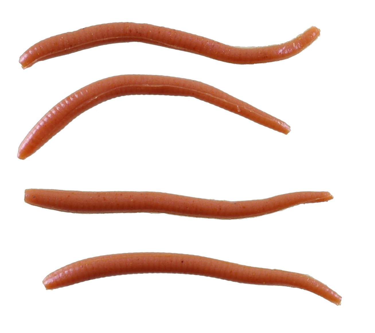 Angler uses Berkley Gulp! Alive! Angle Worm to expand the strike zone.