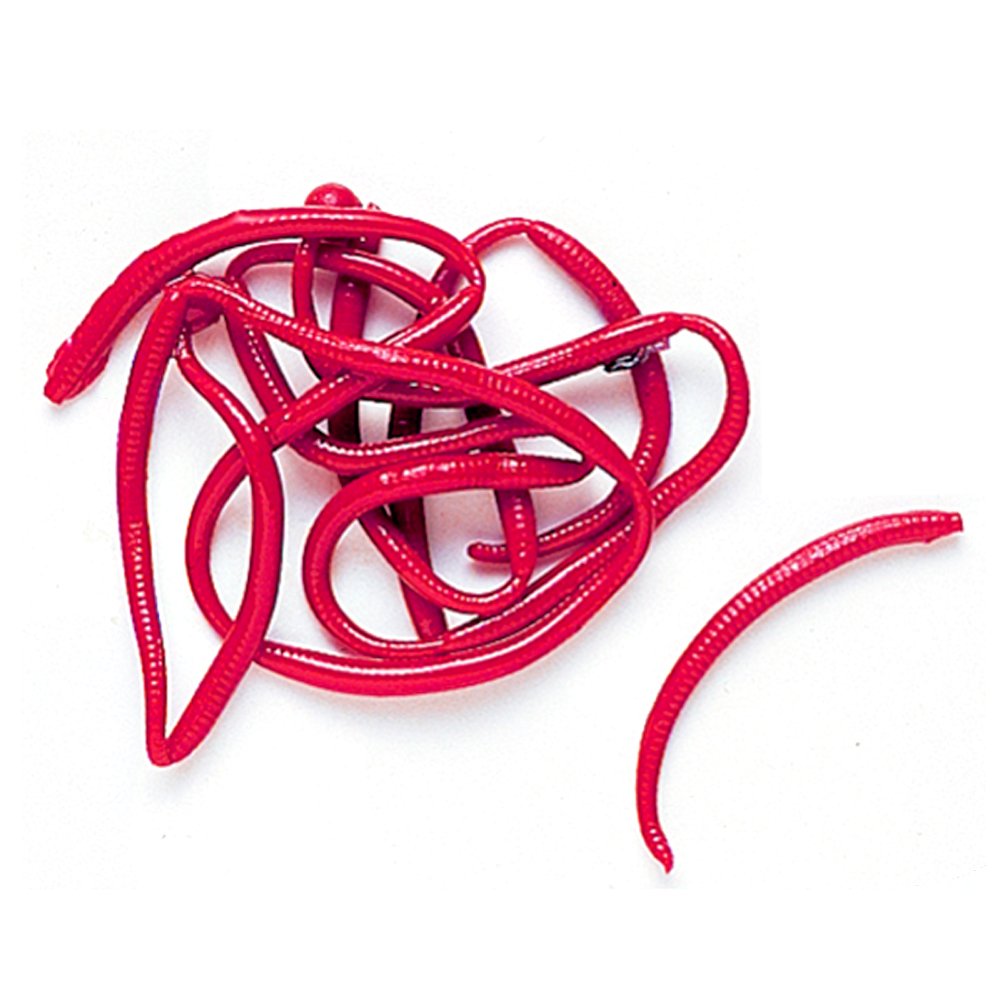 Berkley Gulp! Alive! Angle Worm red 1-inch bait with scent dispersion for panfish.