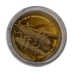 Berkley Gulp! Alive Stonefly jar shows scent dispersion and recharge.