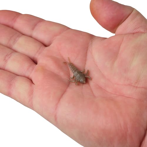 Berkley Gulp! Alive Stonefly on jig or bobber rig for panfish.
