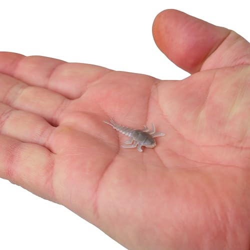 Stonefly Starry Night color option on Berkley Gulp Alive lure for forage matching