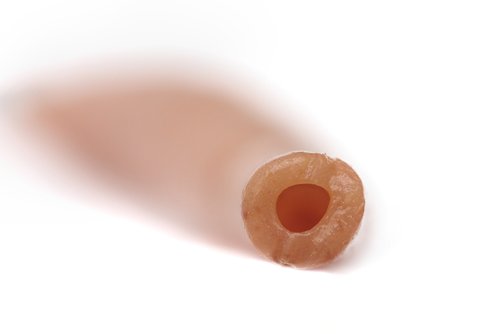 Berkley Gulp! Killer Crawler natural 3inch closeup emphasizes durability and scent-driven attraction in clear water.
