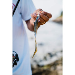 Berkley Gulp! Nemesis Nuclear Chicken closeup body emphasizes lifelike minnow profile and action