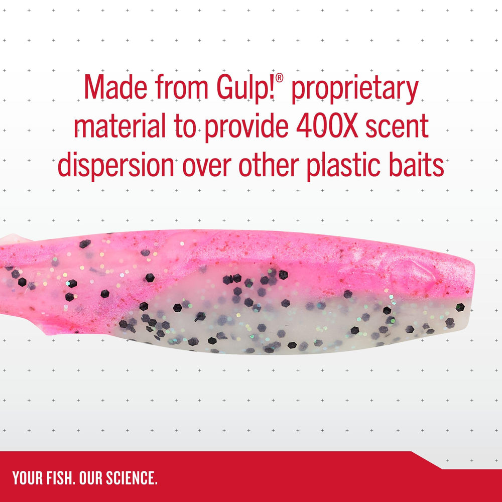 Berkley Gulp! Paddleshads Purple Shiner 5in rigging setup with weighted hook