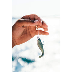 Gulp Pogy sardine 3-inch pack image highlights eight-pack convenience